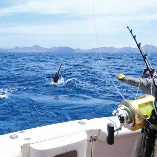 Ice Fishing Ice Fishing